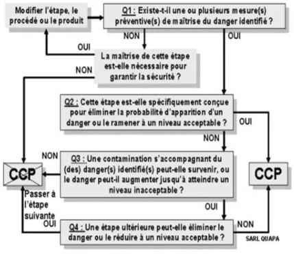 Figure 8 : Exemple d'un arbre décisionnel pour identifier les ccp 
