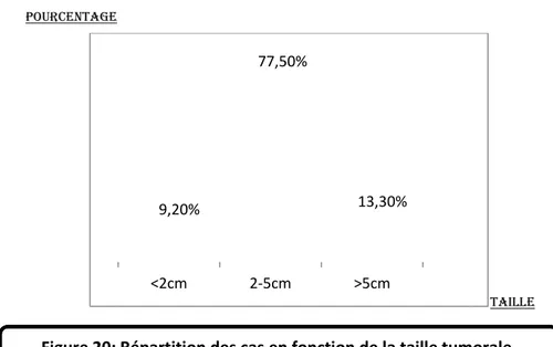 Figure 20: Répartition des cas en fonction de la taille tumorale.