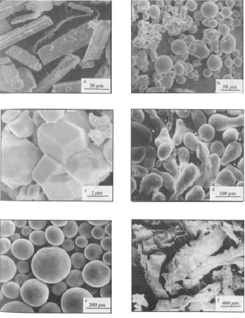 Figure -I-3 Diverses formes de grains de poudres métalliques [1] 