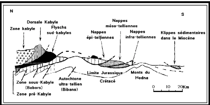 Fig. I.1:Coupe illustrant les différentes unités de la chaîne alpine d’Algérie orientale (d’après  Durand-Delga, 1969)