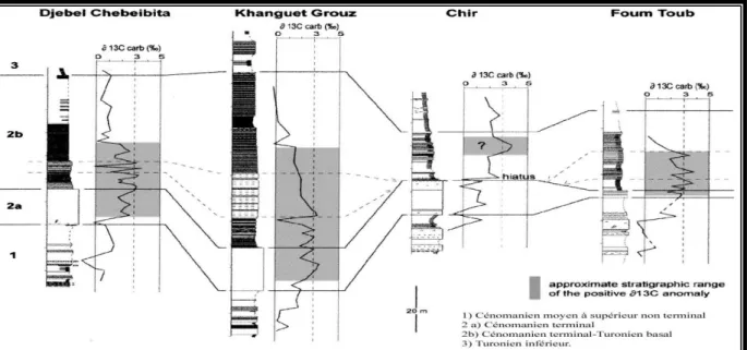 Fig I.11:  L’anomalie  géochimique  en  δ¹³C    enregistrée  dans  le  massif  des  Ouled-Nail  et  de  l’Aurès, Algérie (Grosheny et al., 2008)