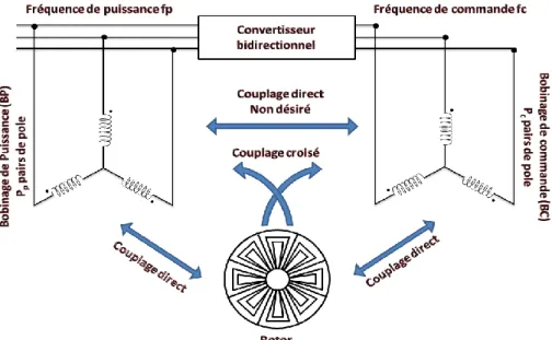 Fig. II. 18 : BDFM avec rotor à cage spécial, [SAR 08]. 