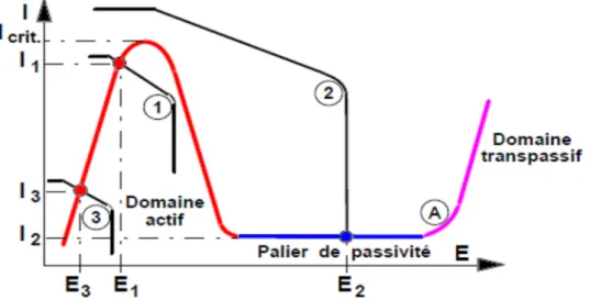 Figure II- 7: Courbe anodique A d'un métal passivable avec trois réactions cathodiques :