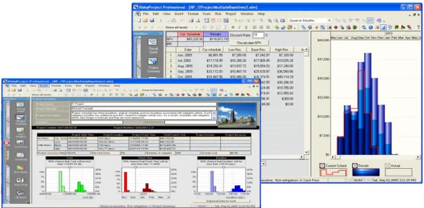 Figure II-9 : Présentation de l’interface des résultats de simulations de «Risky Project».