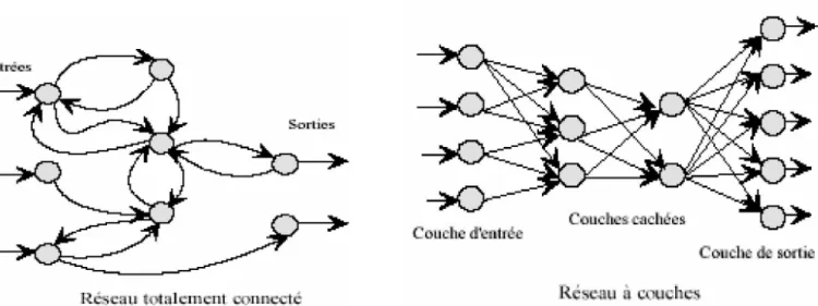 Figure 1.24 : Exemples de topologies des réseaux de neurones [5].