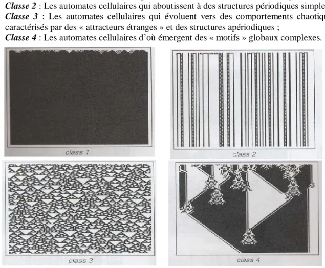 Figure 1.30: Exemples de classe 1, 2, 3, 4 [62]