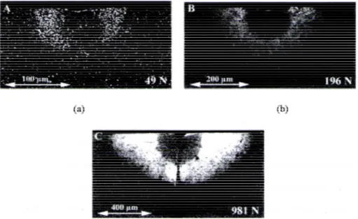 Figure 1.28 : Fissures observées par Lube [65] en utilisant la méthode de décoration. 