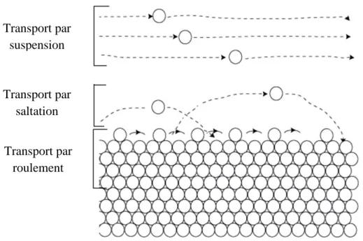 Figure 1.10 – Différents modes de transport des particules par un écoulement fluide. 