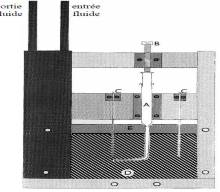 Figure III.1  Schéma  présentant  l’expérience  menée  par  Hebditch  et  Hunt.  Les  thermocouples  (C)  permettent  de  suivre  l’évolution  de  la  température  du  lingot  qui  se  développe  dans  la  cavité  D