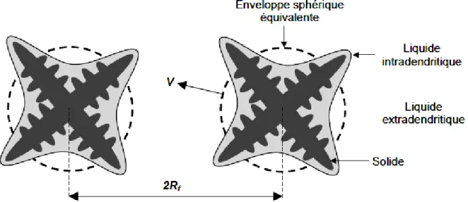 Figure I.26.   Schéma  illustrant  l’enveloppe  autour  d’un  grain  dendritique  séparant  le  liquide inter- du liquide extra-dendritique [51]