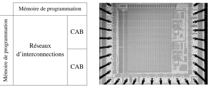 Figure 2.6 : a-Architecture interne FPAA      b-Vue de die du circuit FPAA