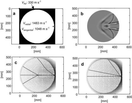Figure 2 (a) Velocity model used for the numerical experiment. The source position is shown by the black dot