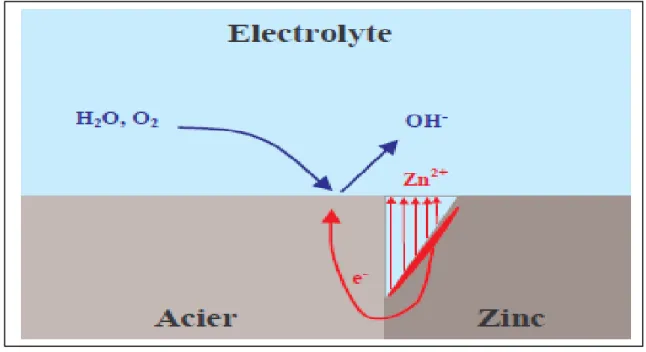 Figure I.3 - La corrosion galvanique d'un  revêtement  de  zinc  sur  acier.  Le  métal le  plus   actif (ou  anodique)  va  se  corroder  rapidement  tandis  que    le métal en  contact    le moins   actif (ou  cathodique, qui est l'acier dans notre exemp