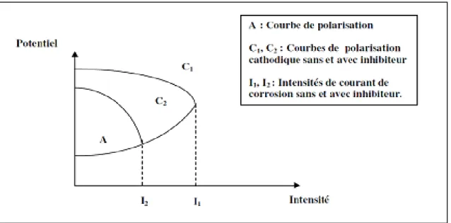 Figure .II.4 - Effet de l’inhibiteur cathodique sur la courbe de polarisation de l’acier [24]