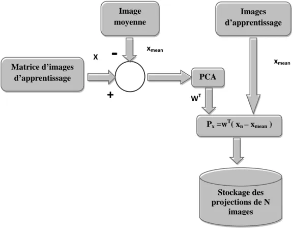 Figure 3.6: Phase d'apprentissage  - Phase de test (Reconnaissance):  