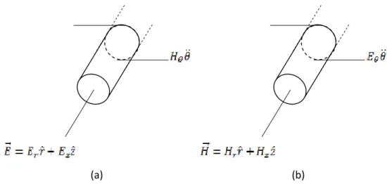 Figure 4: Représentations des modes TE (a) et TM (b) pour une symétrie axiale. 