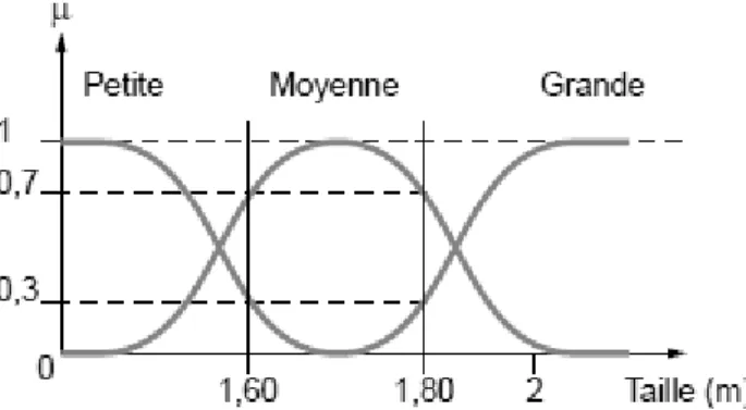 Fig. III.4 – fonction d’appartenance, variable et terme linguistique.