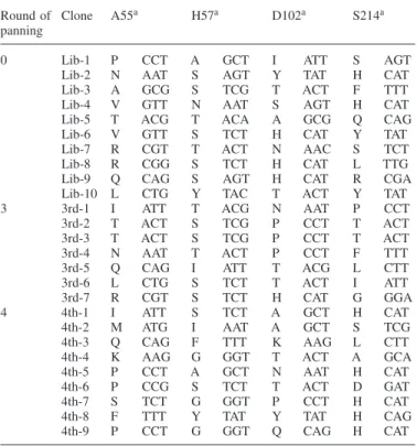 Table II. Biopanning experiments with the trypsin library Round of Phage titre (t.u.)