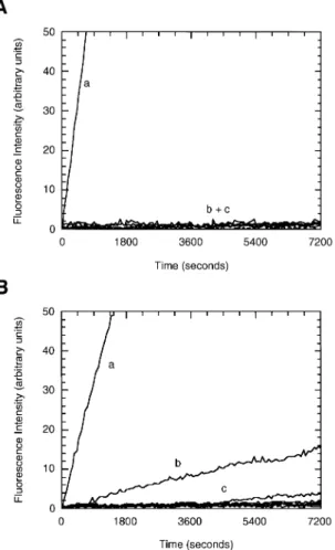 Fig. 8. Fluorogenic activity assay of trypsin mutants. Assays were performed by following the release of free coumarin (AMC) from the tripeptide substrate Z-Gly-Gly-Arg-AMC (A) and Z-Gly-His-Arg-AMC (B), respectively
