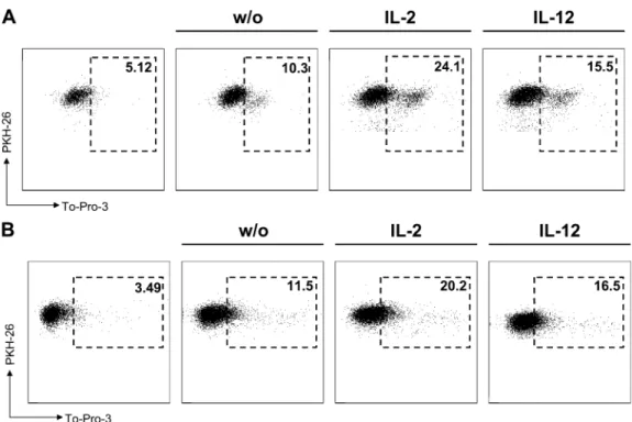 Fig. 5. MS patients do not differ from healthy donors (HDs) in their NK cell cytotoxicity against T cell blasts