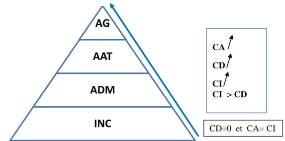Figure I.10 Variation des composantes du coût d’accident par rapport à la pyramide de Bird