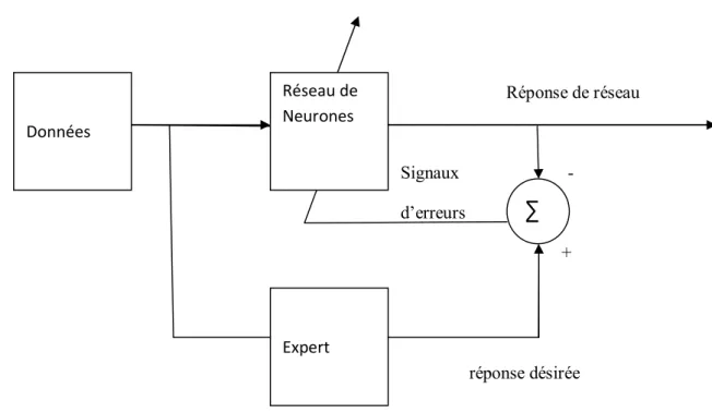 Fig. II.11  Schéma d’apprentissage supervisé    