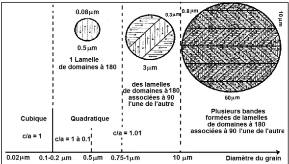 Fig. I.5: Domaine ferroélectrique organisé du titane de baryum (BaTiO 3 ) [19]. 