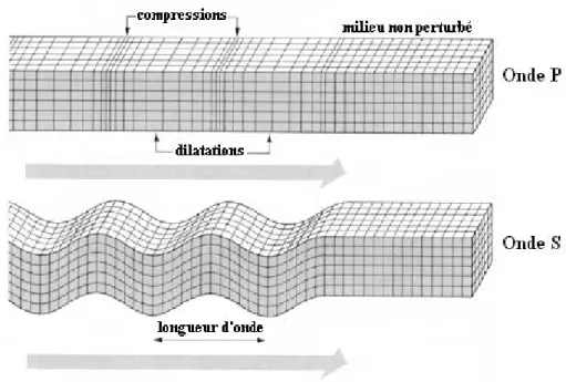 Figure 3.3  Propagation des ondes sismiques P et S.  