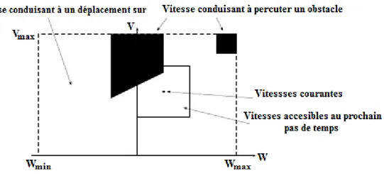 Figure I.10 : Choix d’une vitesse dans la fenêtre des vitesses admissibles sans collision