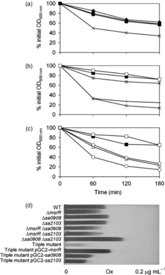 Fig. 3. Triton X-100 induced autolysis and complementation of oxacillin susceptibility