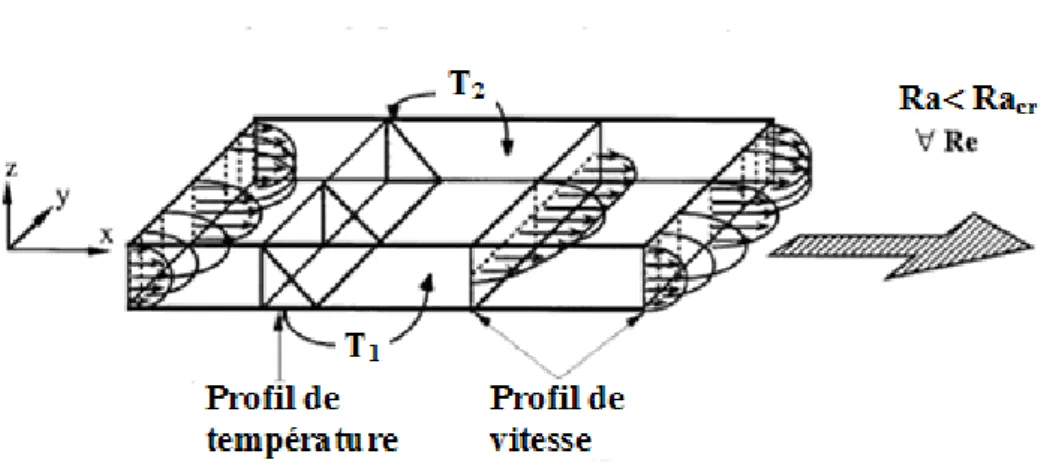 Figure 1.2 : Représentation schématique d’un écoulement de rouleaux transversaux ;              tiré de X