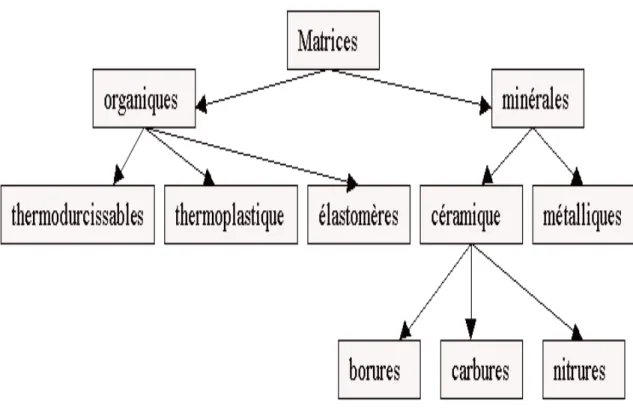 Figure 1-6 Différent type des résines 