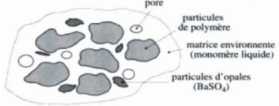Figure 2.1 : Structure d´un ciment osseux au PMMA [28] 