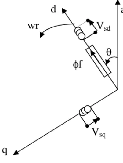 Fig. I.3  :  Schéma équivalent de la MSAP dans le repère d, q liée au rotora 