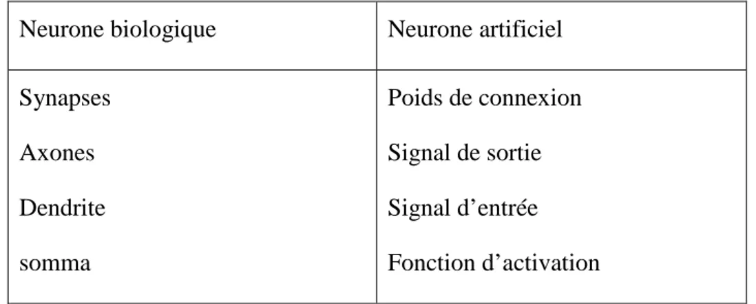 Tableau II.1 : Analogie entre neurone biologique et le neurone formel 
