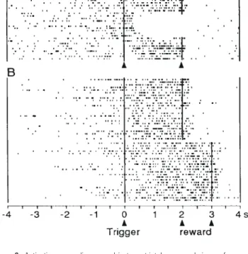 Figure 7. Movement-related activations in two caudate neurons depending on expected reward