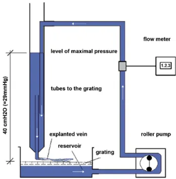 Fig. 1. In vitro arrangement with roller pump, flow meter, tubes to the grating with veins lying on it