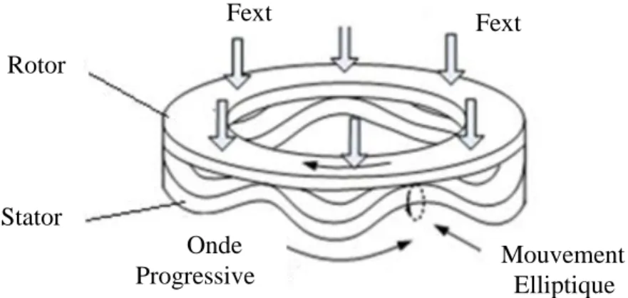 Figure 2.18-L'entraînement du rotor par les crêtes de l'onde progressive. 
