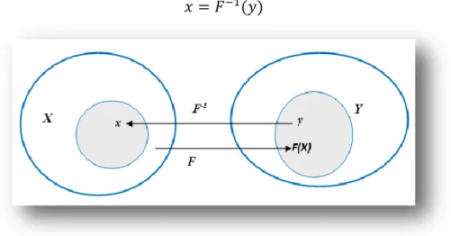 Figure 1.1 : Relation entre l’espace des causes X et l’espace des symptômes Y 