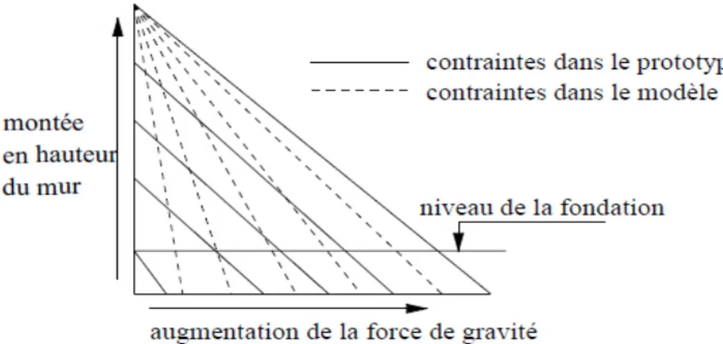Figure   3-10 :  Comparaison des forces de gravité entre les modèles centrifugés et les  prototypes.