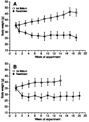 Fig. 1. Body weights of male NMRI mice fed ad libitum (open circles) or restricted to 70% feed intake (full circles)