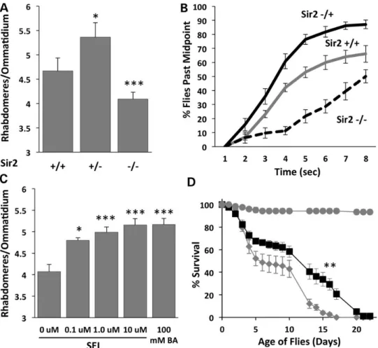 Figure 1. Genetic and pharmacologic modulation of Sir2 affects mHTT phenotypes in Drosophila