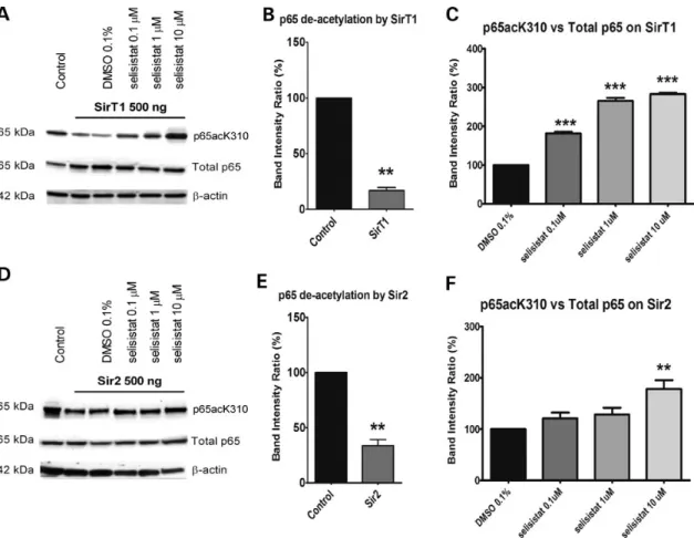 Figure 3. Selisistat inhibits the deacetylation activity of both human SirT1 and Drosophila Sir2