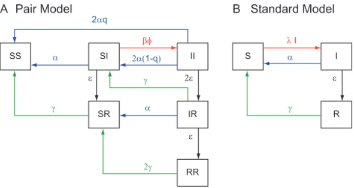 Figure 1. Schematic overview of the chlamydia infection process in a pair model that allows for reinfection in ongoing partnerships (A) and in a standard model in which partnerships are instantaneous and reinfection is not incorporated (B)