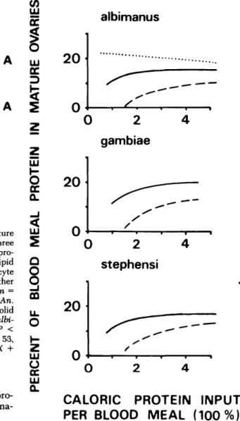 Fig. 7. Effect of the source of the blood on enhanced protein utilization for vitellogenesis by three Anopheles species, fed on guinea pig (solid lines) or human hosts (dashed lines)