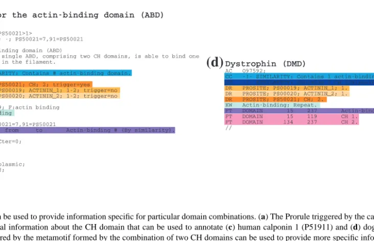 Fig. 3. Metamotifs can be used to provide information specific for particular domain combinations