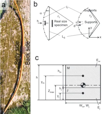 Figure 1 Basic data of a yew longbow.