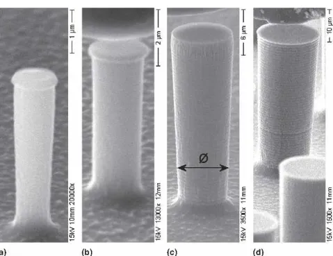 FIG. 1. SEM micrographs of the four pillars used for compression testing: (a) Sq2, (b) Sq3, (c) Sq10, and (d) Sq20