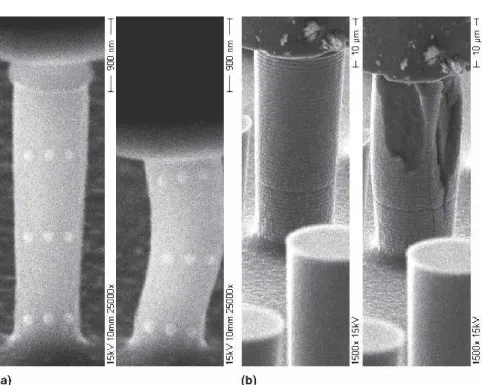 FIG. 4. Frames extracted from the SEM video sequence recorded during the compression testing of the silicon pillars showing the first (left) and the last frame (right) just before failure of specimen: (a) Sq2 and (b) Sq20.