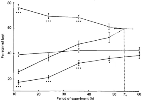 Fig.  1. Expts 1  and 2. The amount of iron retained (ug) from a test meal  (3  g wholewheat flour) by  rats  (340g body-weight) given a high-Fe  ( 0 )   or  medium-Fe  ( 0 )   meal  12, 24, 36,48 or 60h before the test  meal (Expt  I),  and by rats (160 g